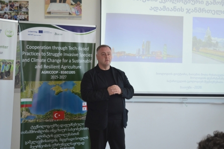 სურათი