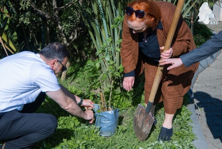 სურათი