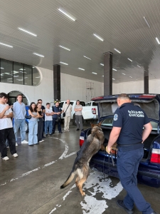 სურათი