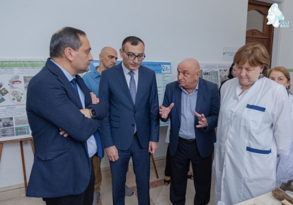 სურათი