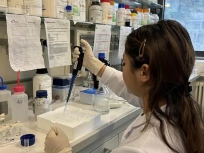 გადიდება სურათი