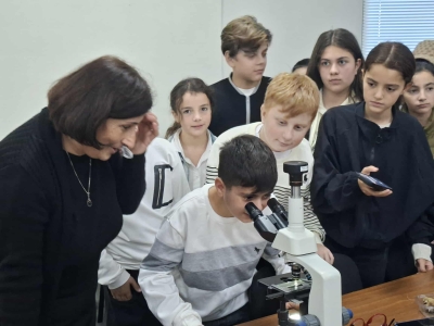 სურათი