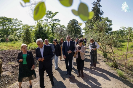 სურათი