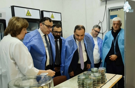 სურათი